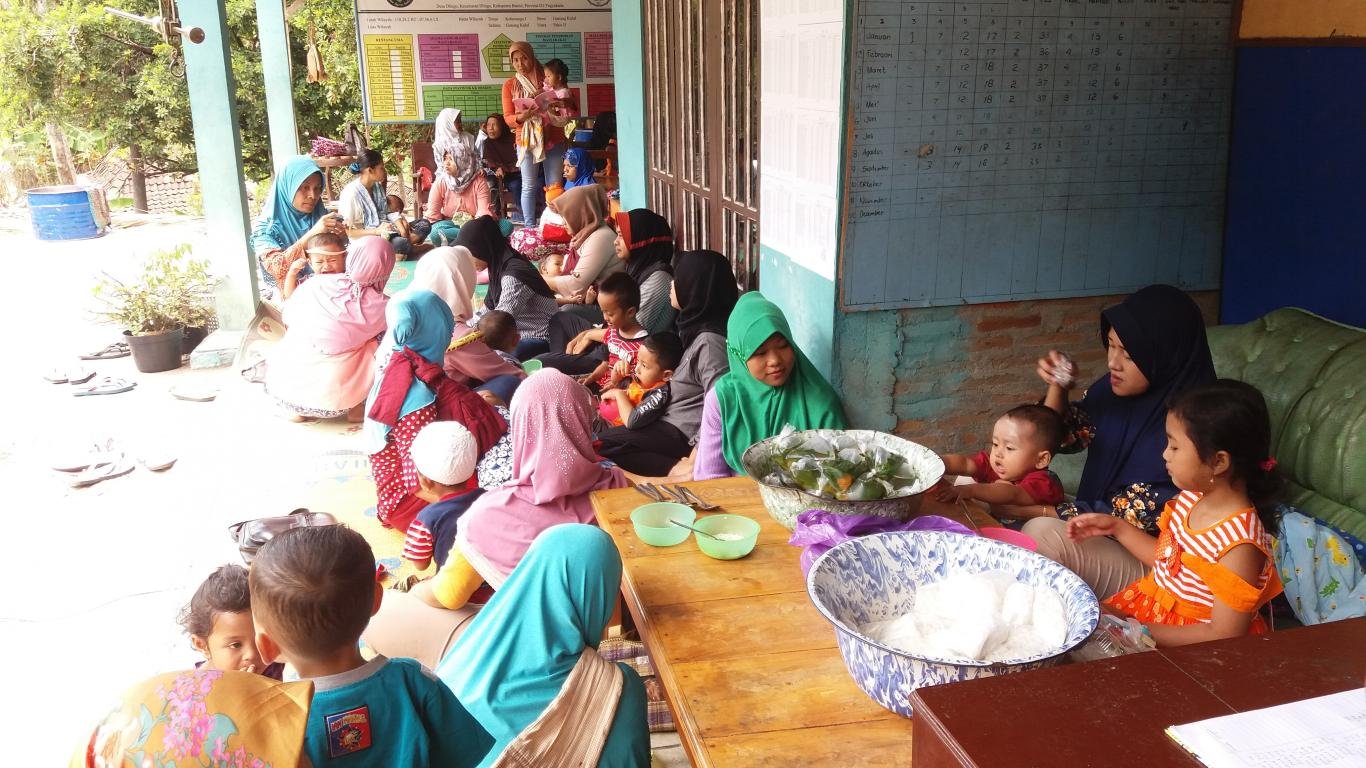 Kegiatan Posyandu Balita dan Lansia Desa Kanamit Barat