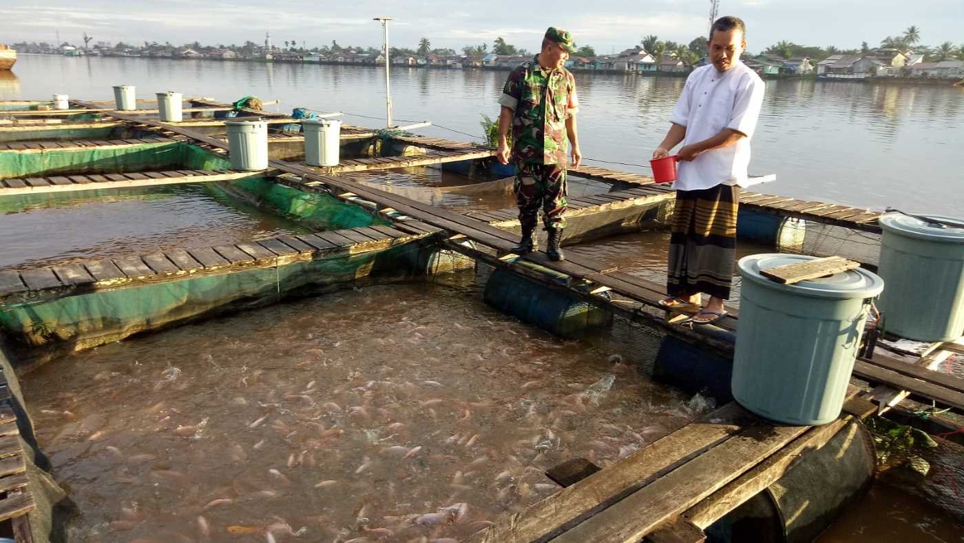 Perikanan Air Tawar